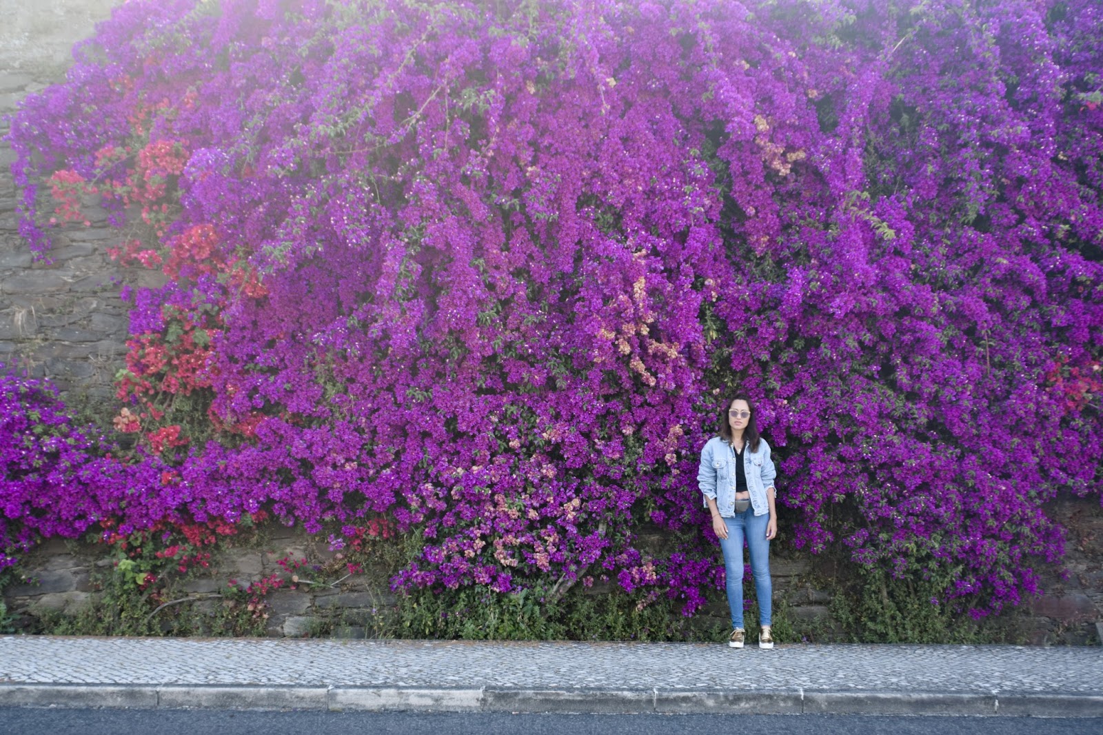 FLOWER POWER